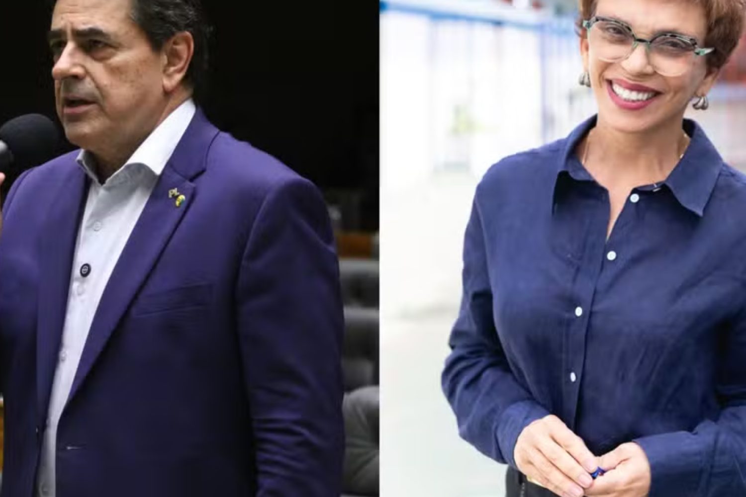 Foto: Vinicius Loures/ Câmara dos DeputadoS; Luci Sallum