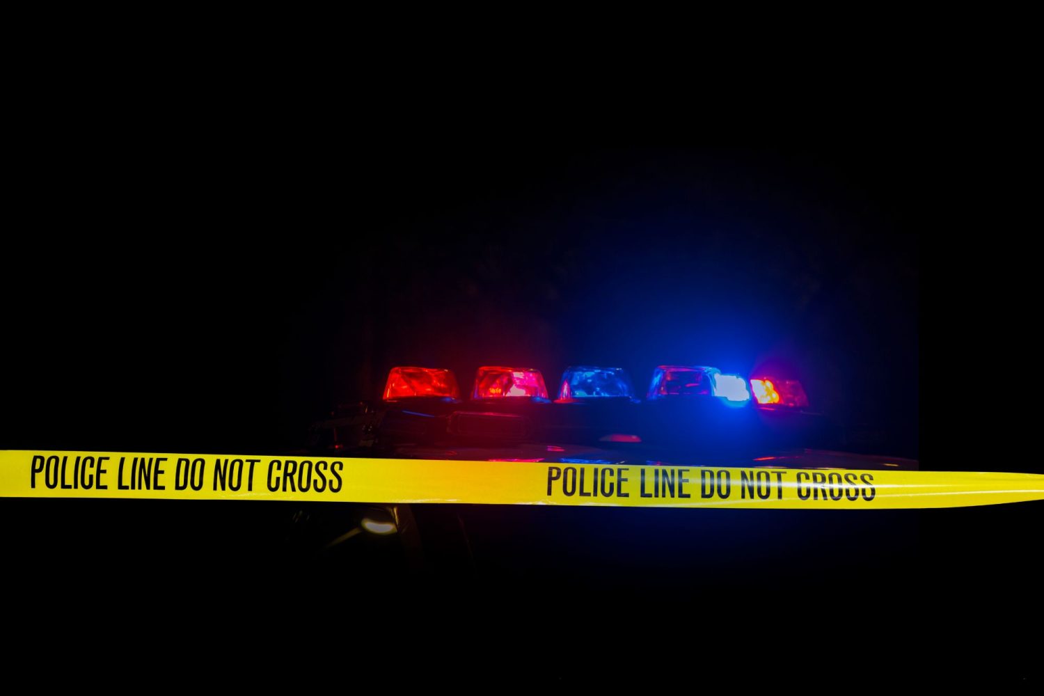 Caso de Polícia - Simulação (Foto: internet)